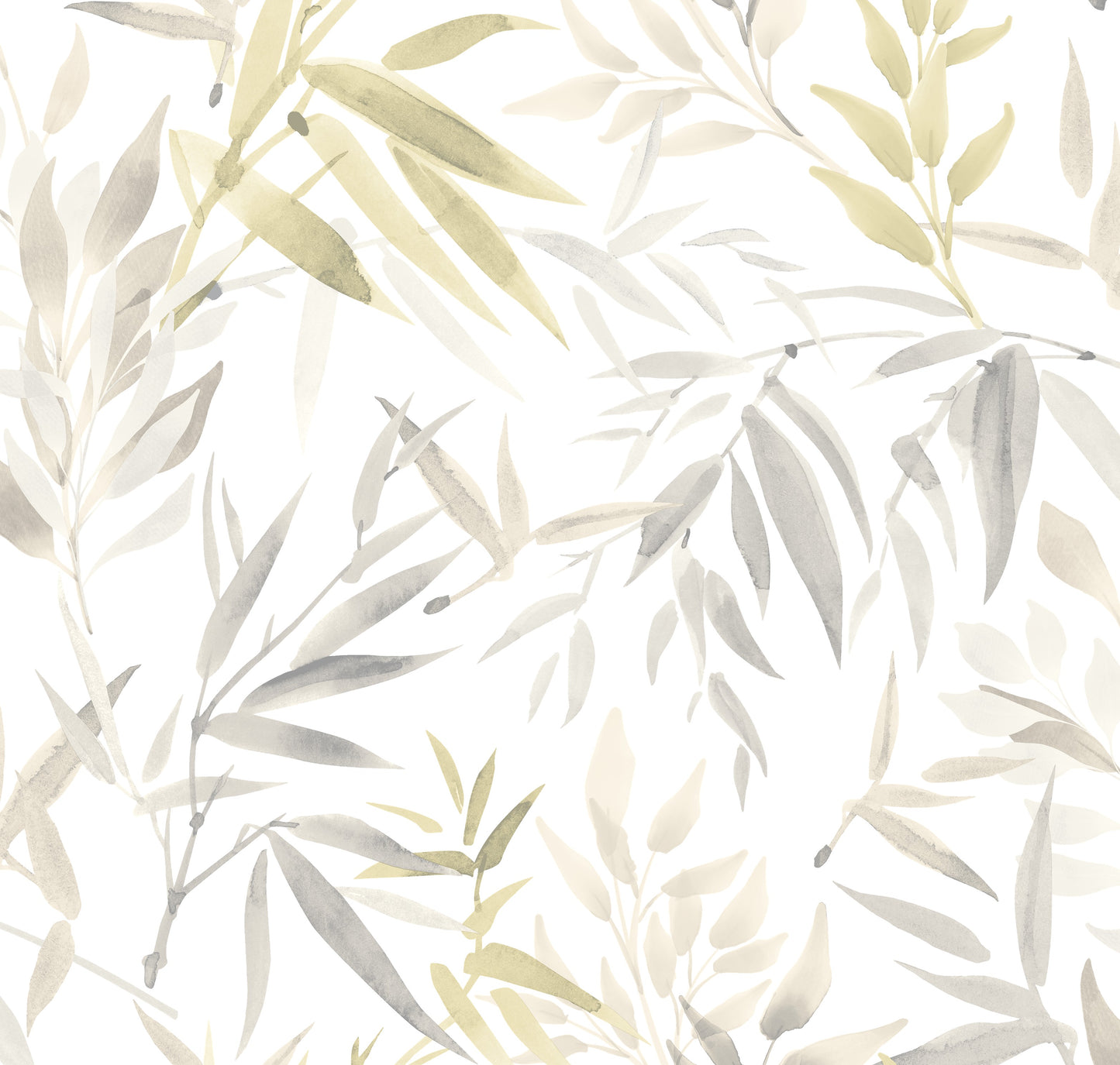 Painted Canopy