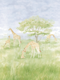 Giraffe Meadow Dreams