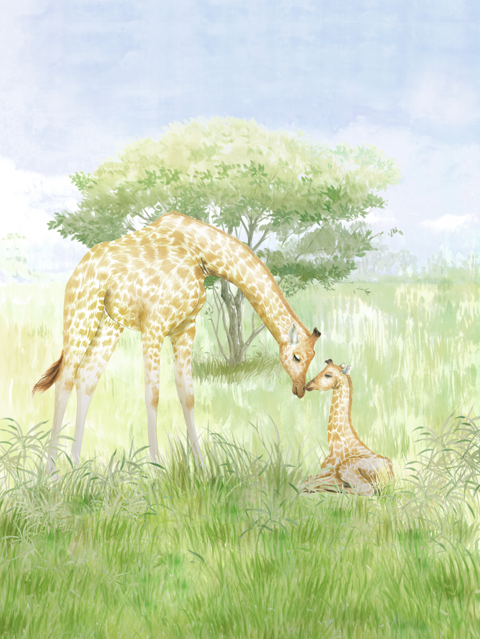 Giraffe Kisses Meadow