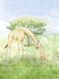 Giraffe Kisses Meadow
