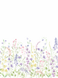 Lavender Meadow Whispers