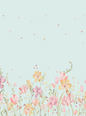 Petal Meadow