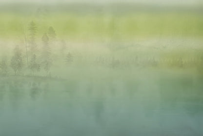 Misty Green Lake