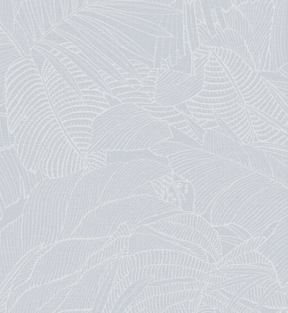 Leaf Green Wallpaper