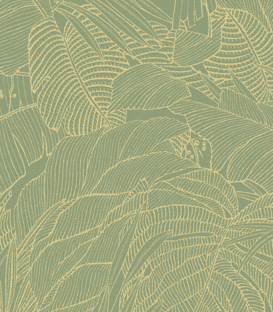 Leaf Green Wallpaper