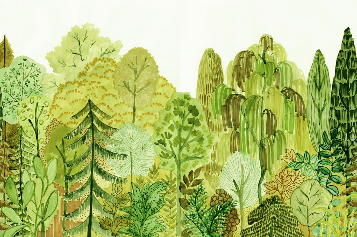 Whimsical Green Forest