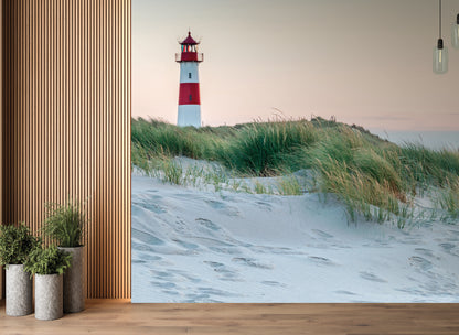 Lighthouse Sand Dunes