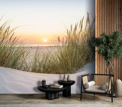 Dune Grass Sunset
