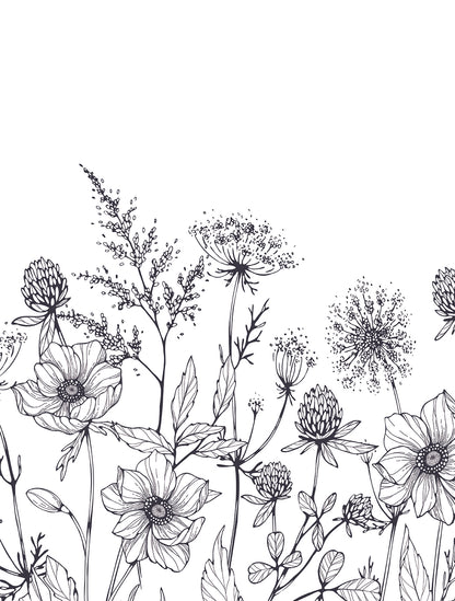 Botanical Wildflower Sketch