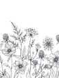 Botanical Wildflower Sketch