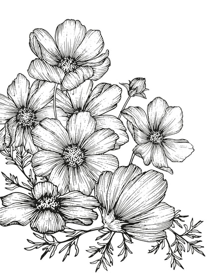 Cosmos Bloom Sketch