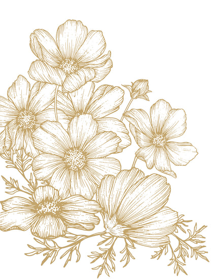 Cosmos Bloom Sketch
