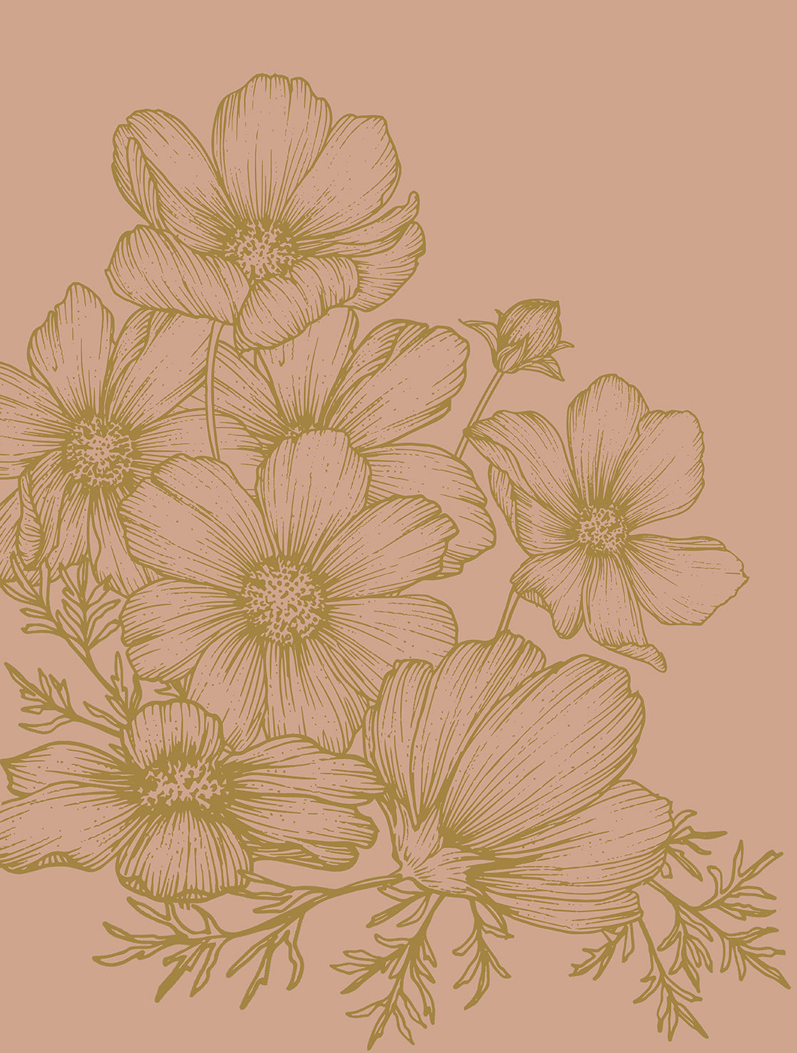Cosmos Bloom Sketch
