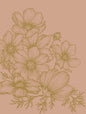 Cosmos Bloom Sketch