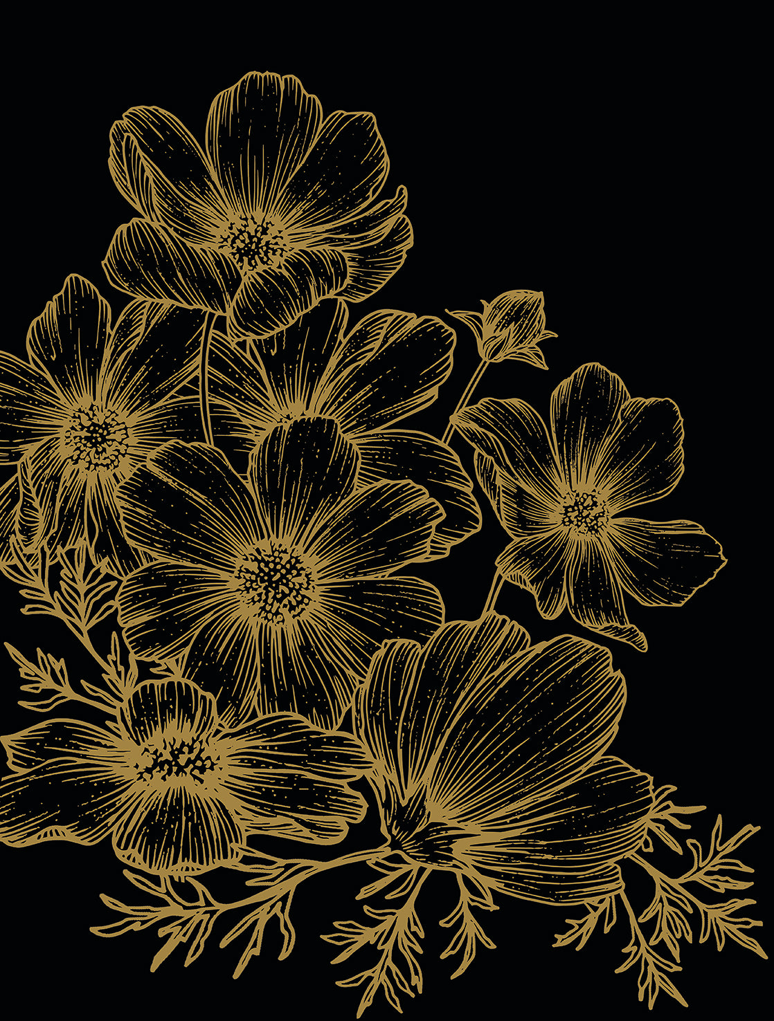 Cosmos Bloom Sketch