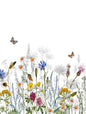 Butterfly Wildflower Meadow