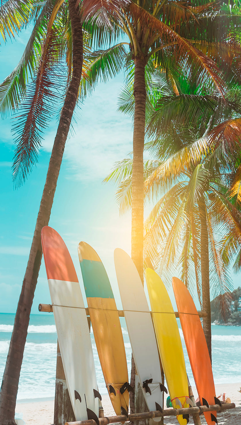 Tropical Beach Surfboards
