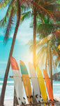 Tropical Beach Surfboards