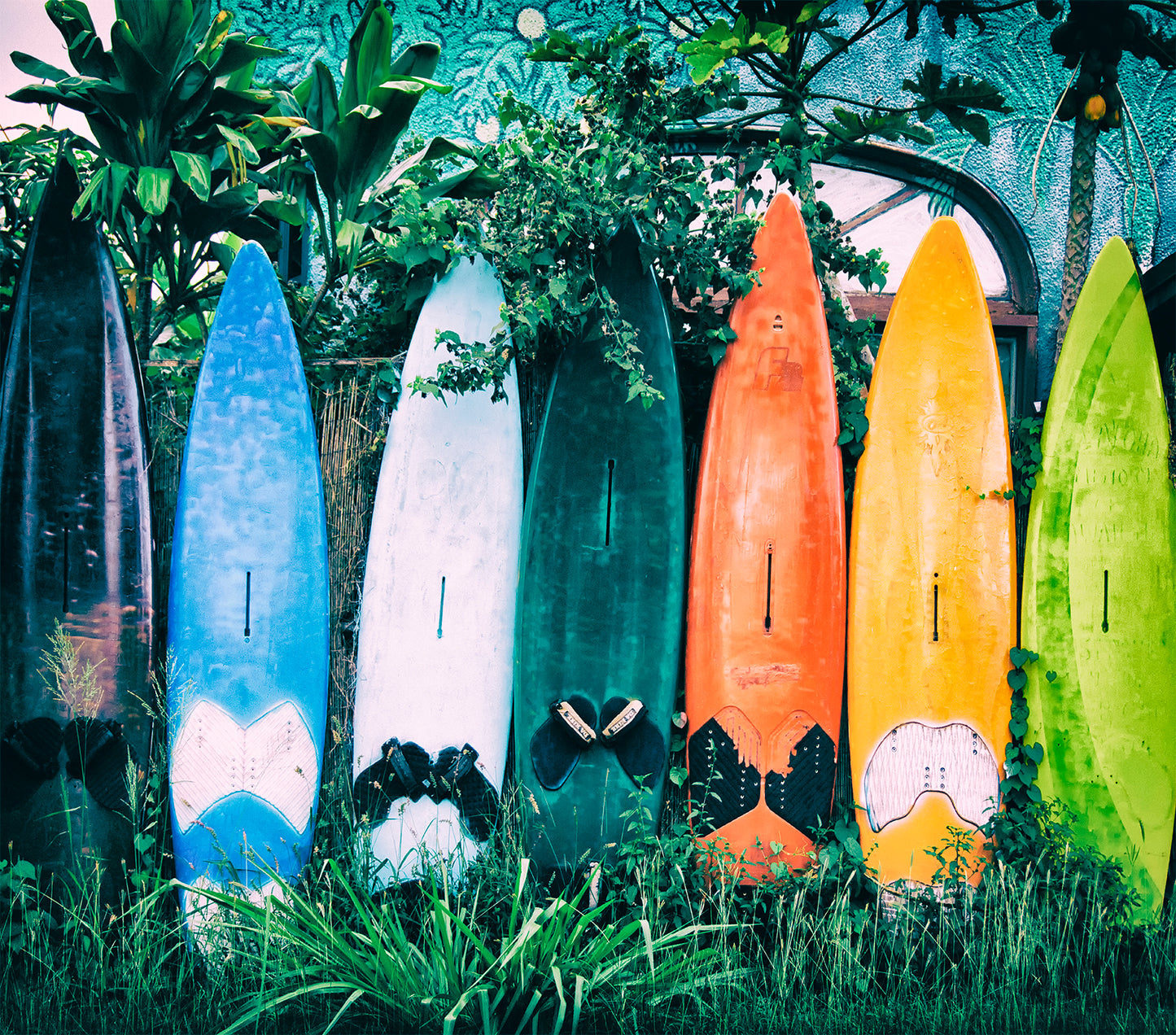 Colorful Surfboards Garden Row