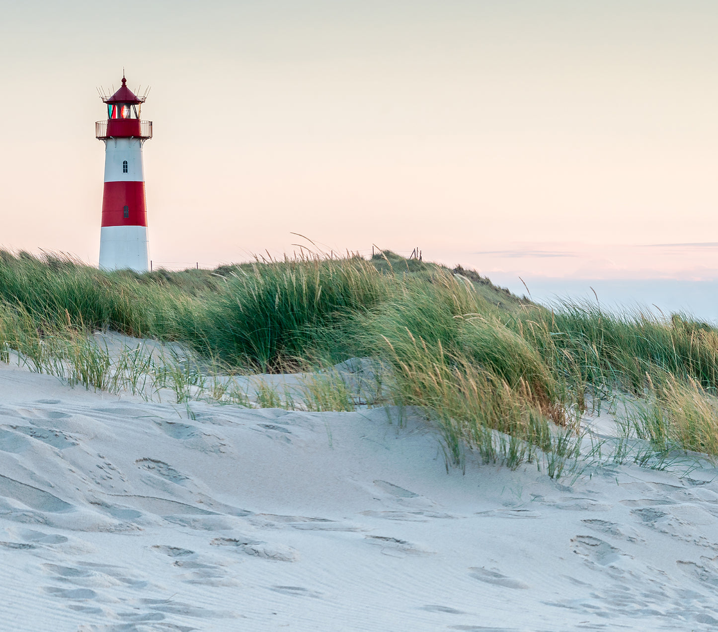 Lighthouse Sand Dunes