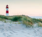 Lighthouse Sand Dunes