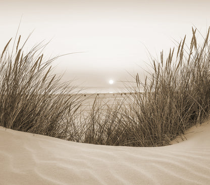 Dune Grass Sunset