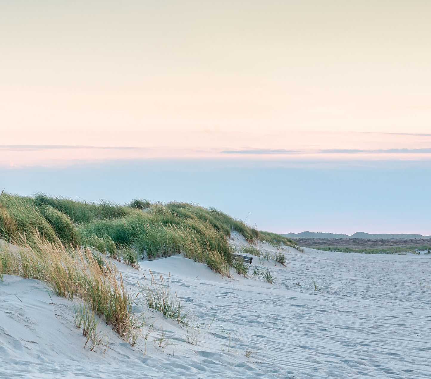 Pastel Dune Coastline