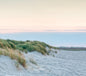 Pastel Dune Coastline