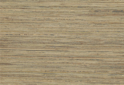 X'TREME  II