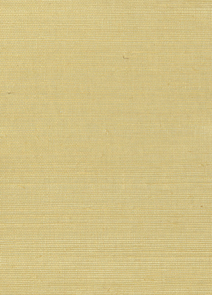 Tan or neutral-colored sisal grasscloth
