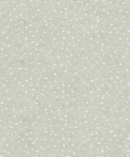 Silver moon