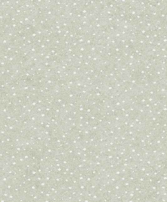 Silver moon