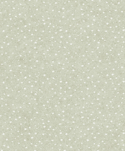 Silver moon