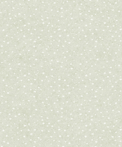 Silver moon