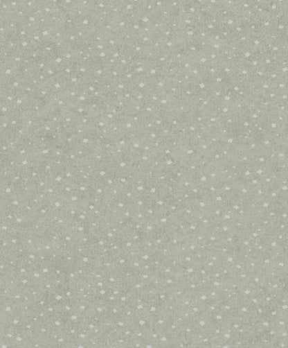 Silver moon