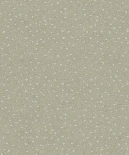 Silver moon