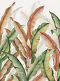 Golden Banana Grove