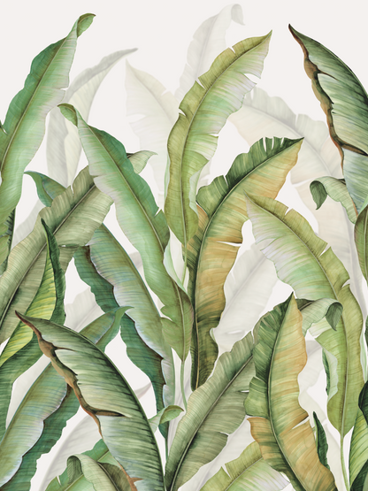 Golden Banana Grove